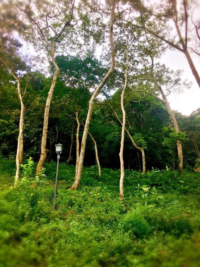Wan Ruey Resort Hengshan Exterior foto