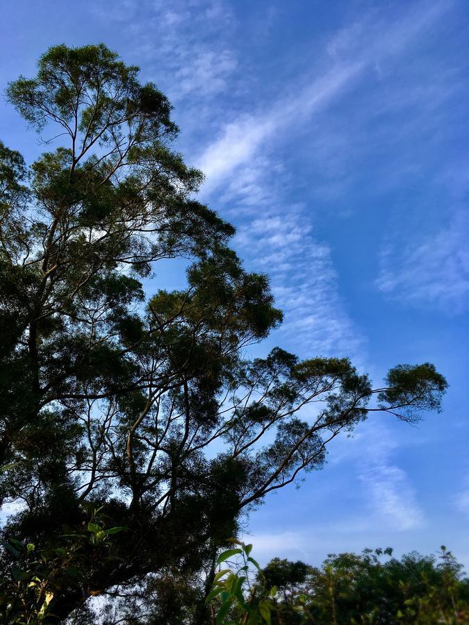 Wan Ruey Resort Hengshan Exterior foto